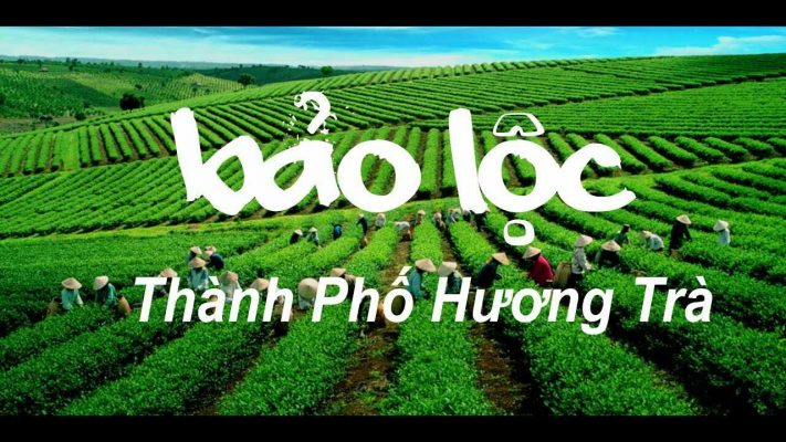 thuê xe đi Bảo Lộc