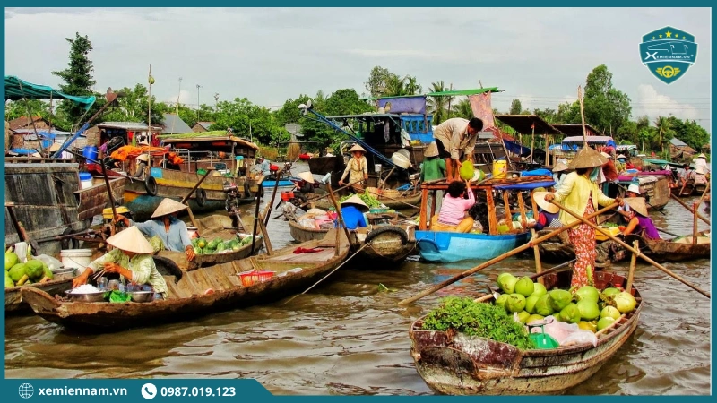 Thuê xe 7 chỗ đi miền Tây